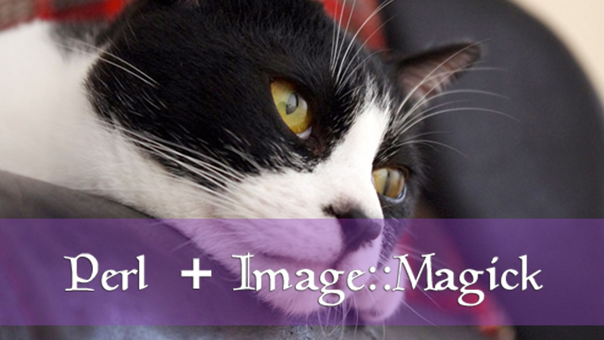 Perl Imagemagickでよく使うコマンドとサンプル くろひつじのメモ帳